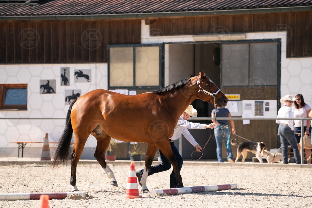 s_b_A_907579.jpg